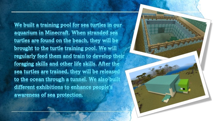 Sea Turtle project